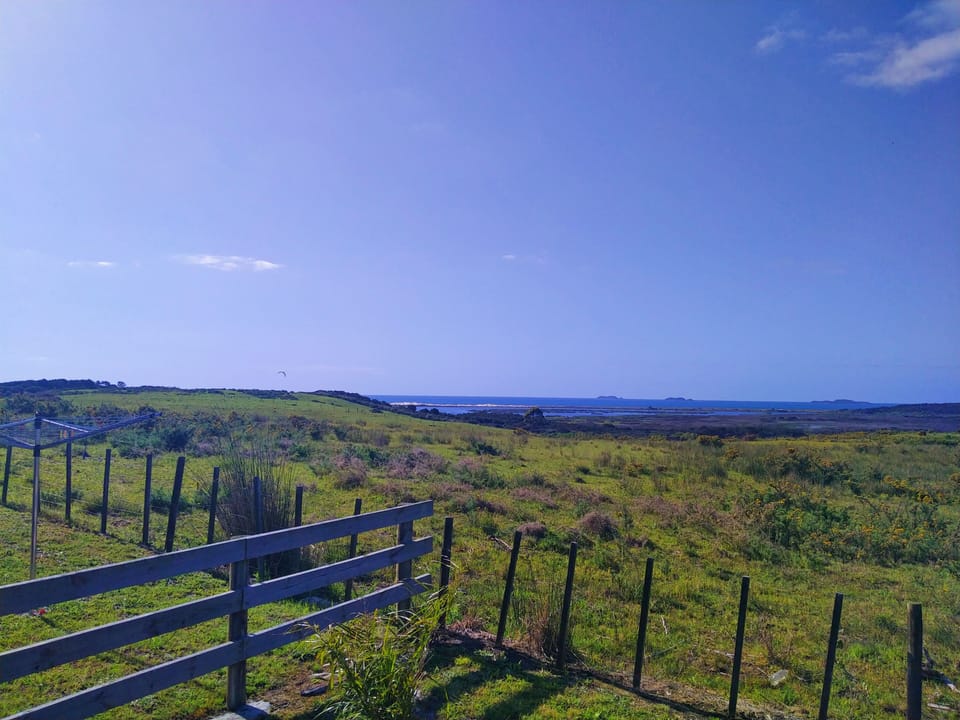 Rear view of rolling hills, ocean, skies, sometimes wild birds or farm animals.