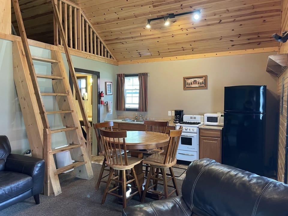 Dining and Kitchen Area
