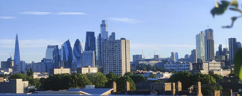 shared building rooftop garden with London city panoramic views