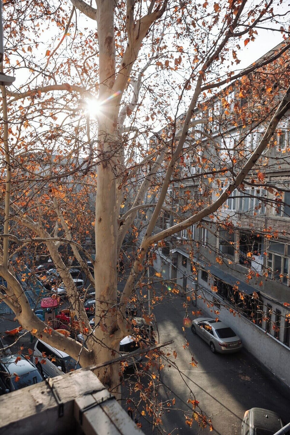 View from property