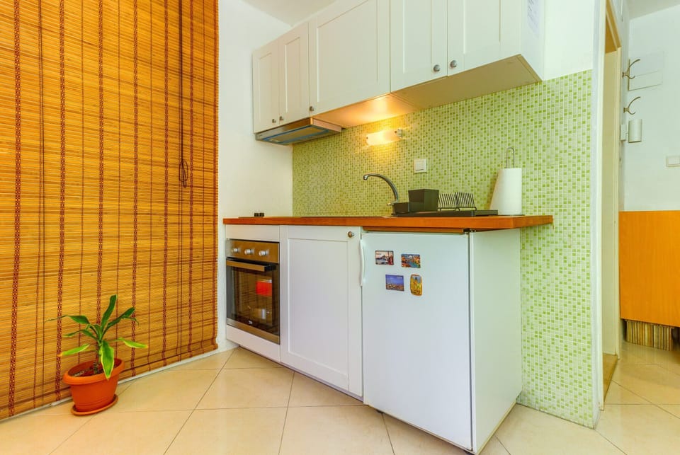 Studio | Private kitchen | Fridge, microwave, oven, stovetop
