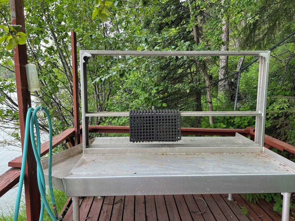 Fish cleaning station
