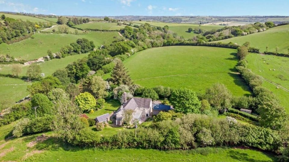 1Click to replace me with your text!!!