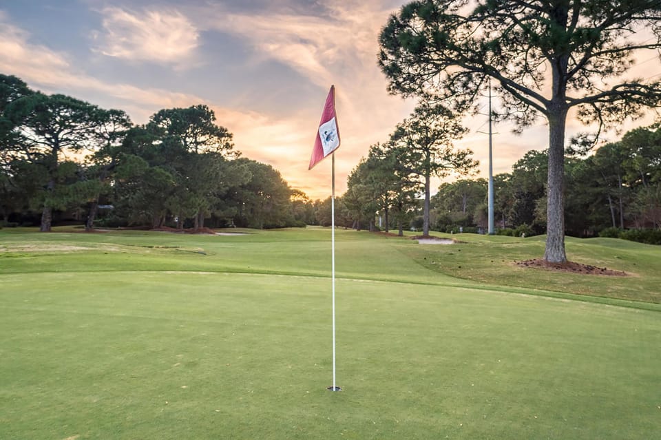 Hit the links