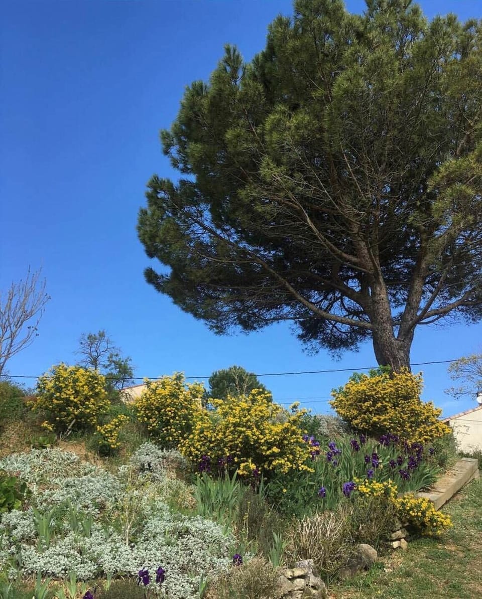 jardin
