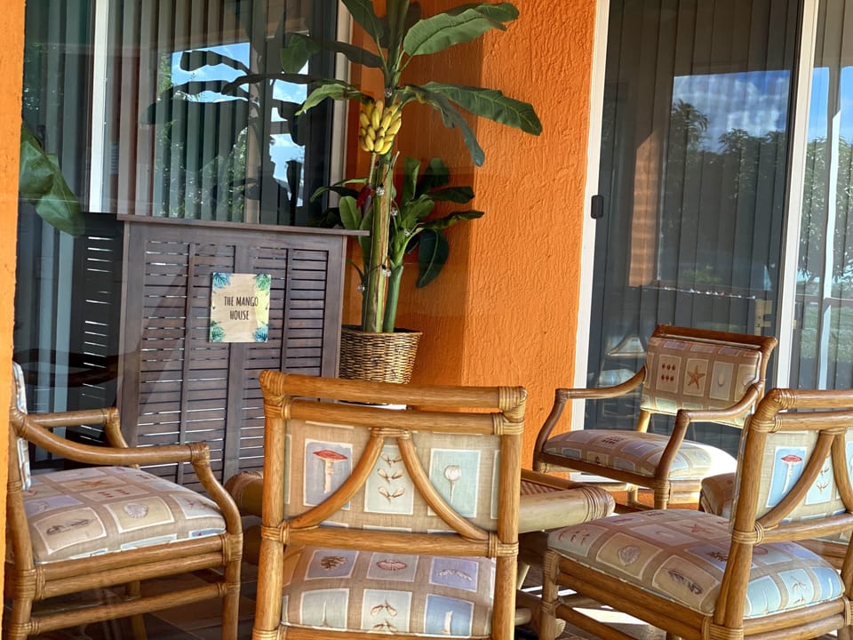 Patio bar and bamboo seating area... day time fun!