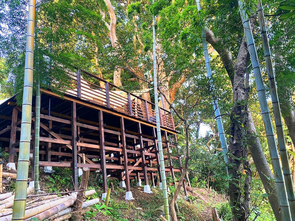 Executive Tree House, Non Smoking | Balcony view