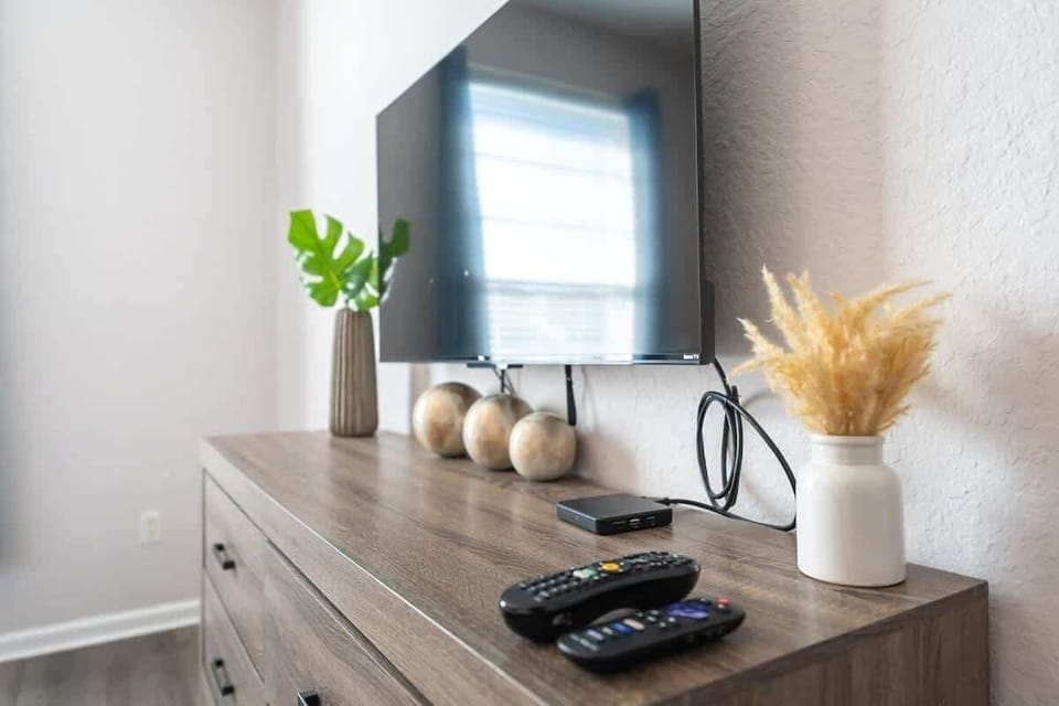 Television