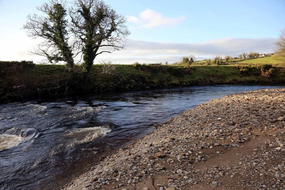 House | Property grounds