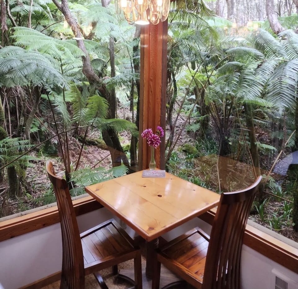 The Hapu’u Room

Panorama view of the rainforest 