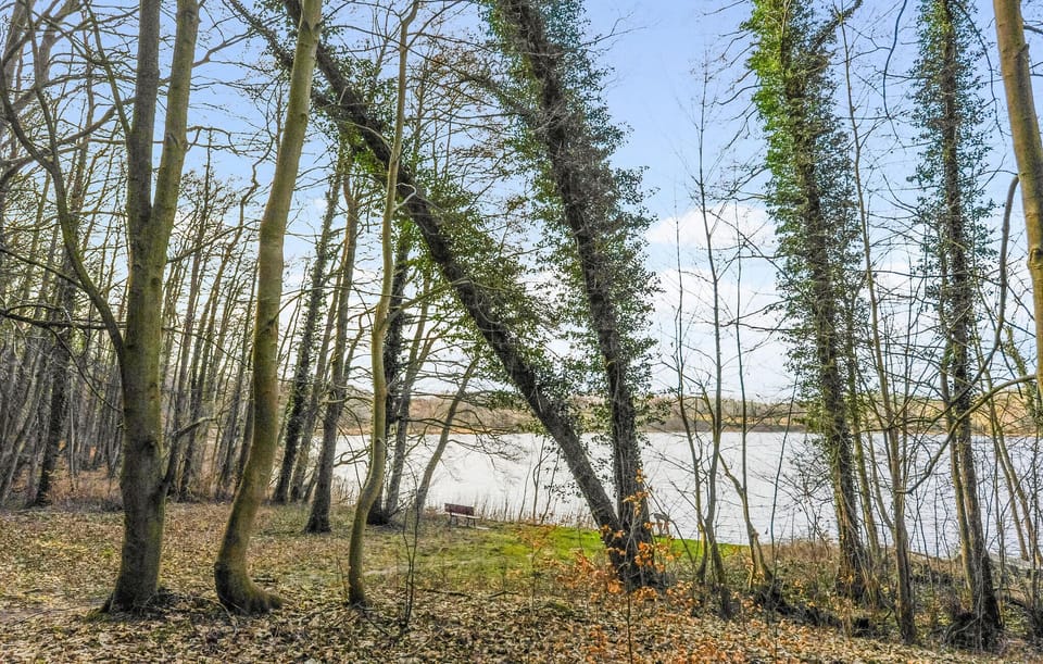 area