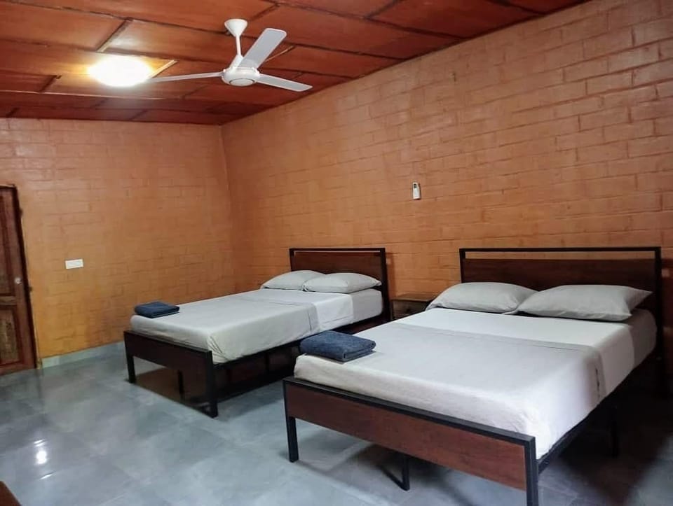 Comfort Twin Room