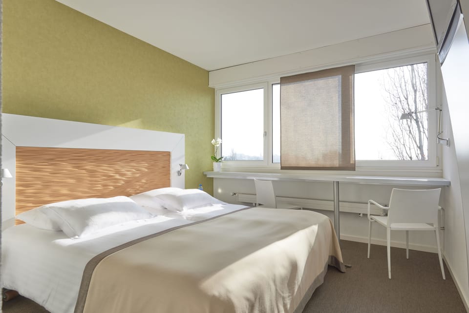 Double or Twin Room, Lake View | Minibar, in-room safe, desk, soundproofing