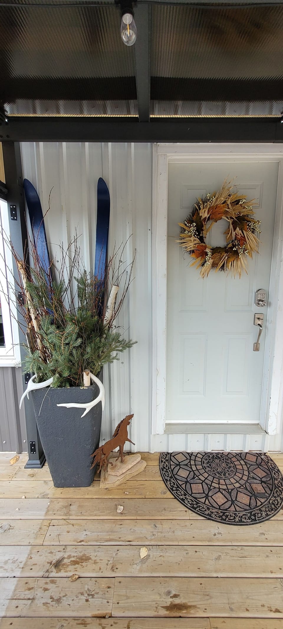 Pet friendly accommodation