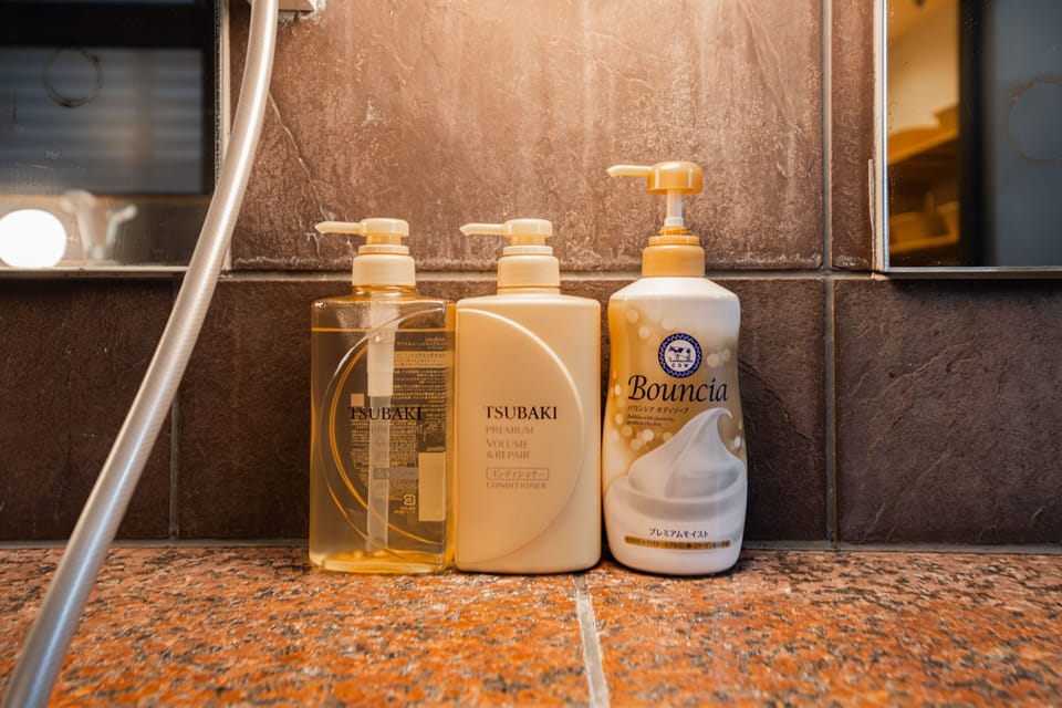 Free toiletries, hair dryer, bidet, shampoo