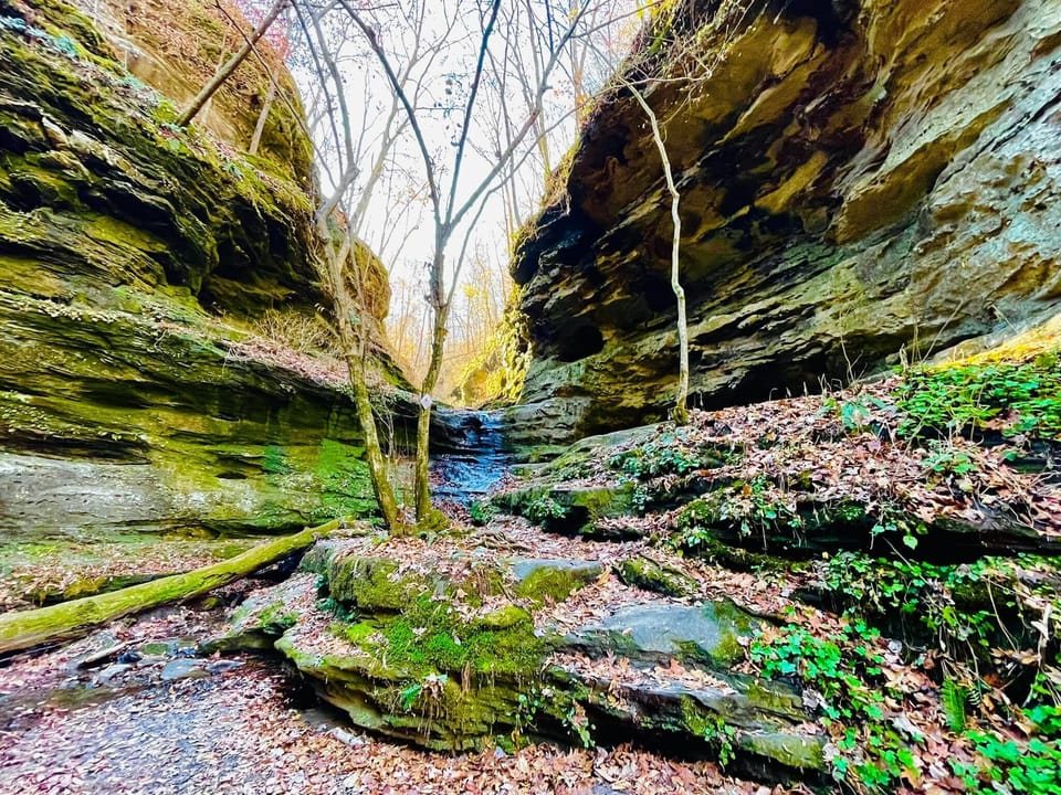 Beautiful nature scenery 