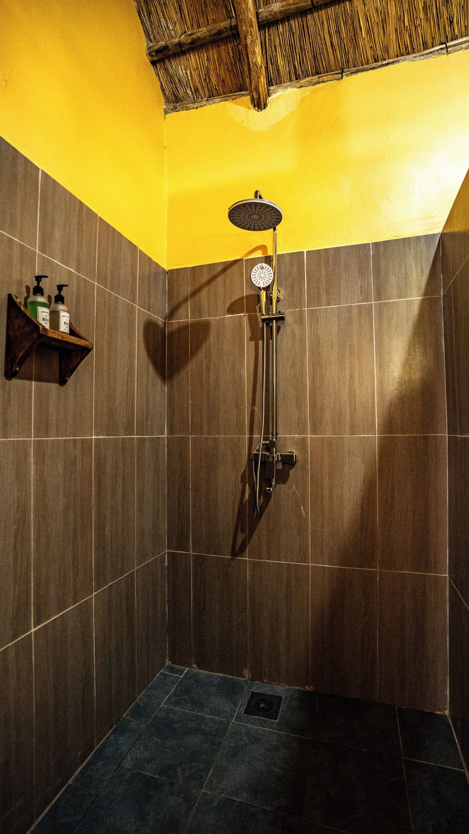 Luxury Room | Bathroom shower