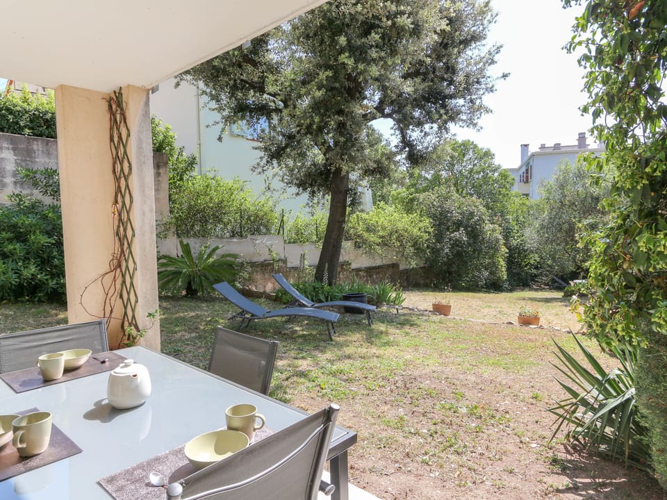 Terrace and garden