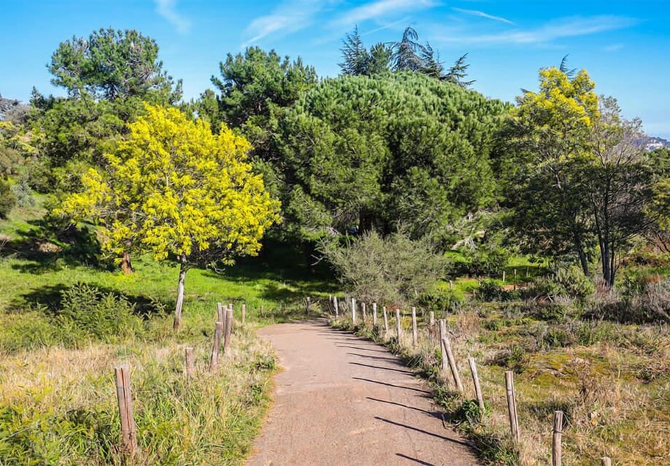 Walk trail in the Croix des Gardes