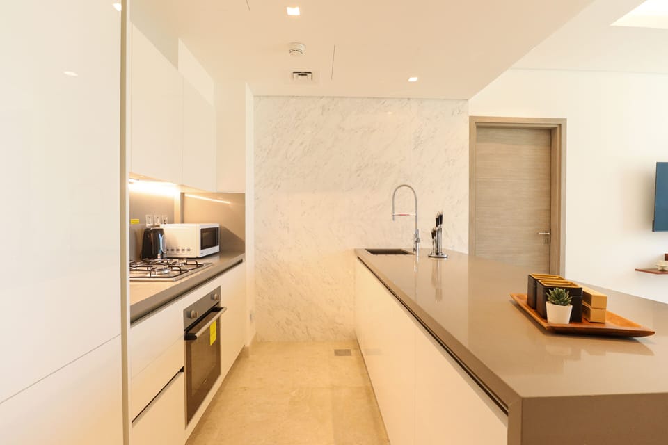 Deluxe Apartment | Private kitchen | Coffee/tea maker, fridge, microwave, oven