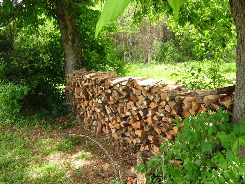 Free Firewood
