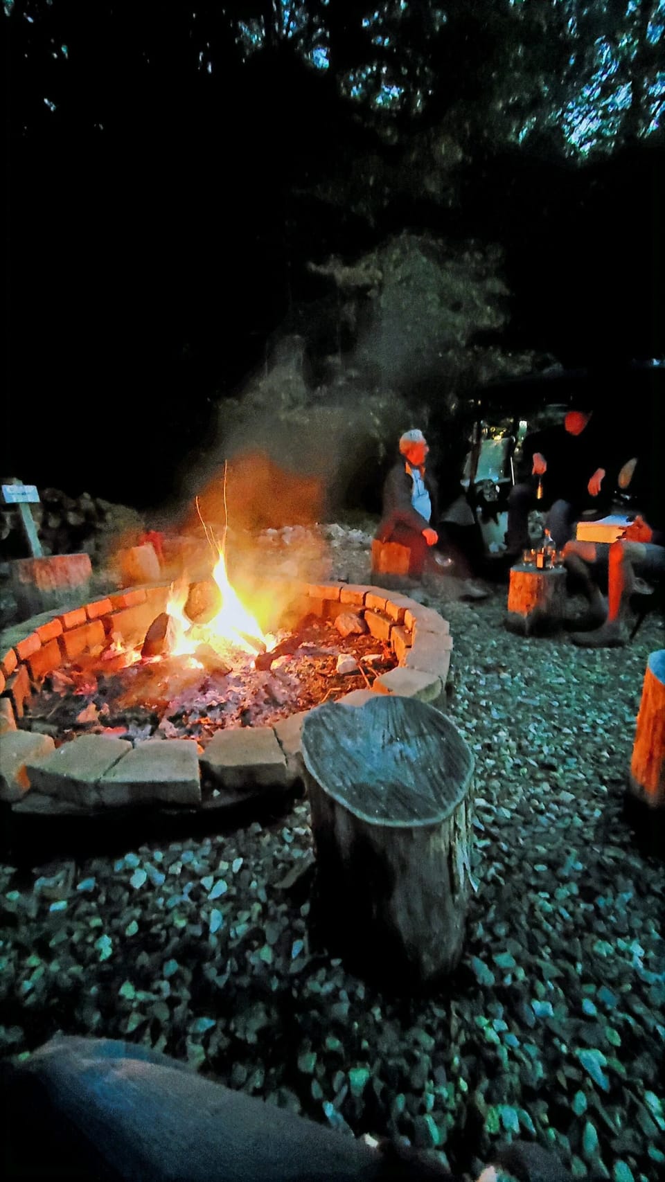 Campfire by Coosa creek.