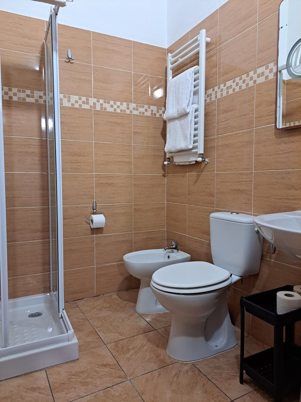 Basic Double or Twin Room | Bathroom | Shower, hair dryer, bidet, towels