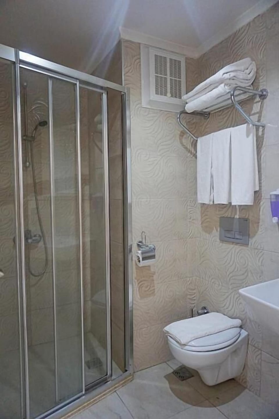 Hair dryer, bidet, towels