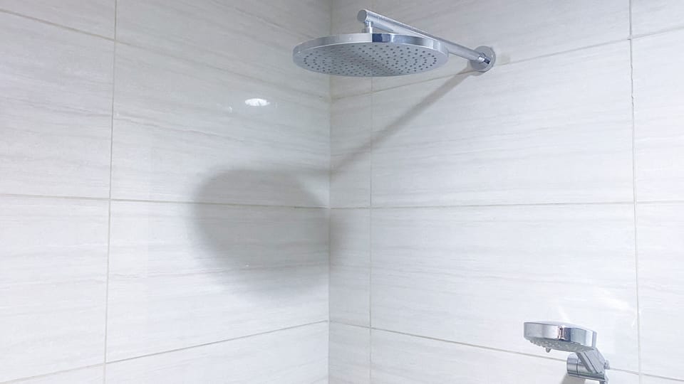 Apartment | Bathroom | Shower, towels, soap, shampoo