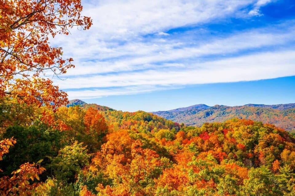 The unreal changing of TN fall leaves
