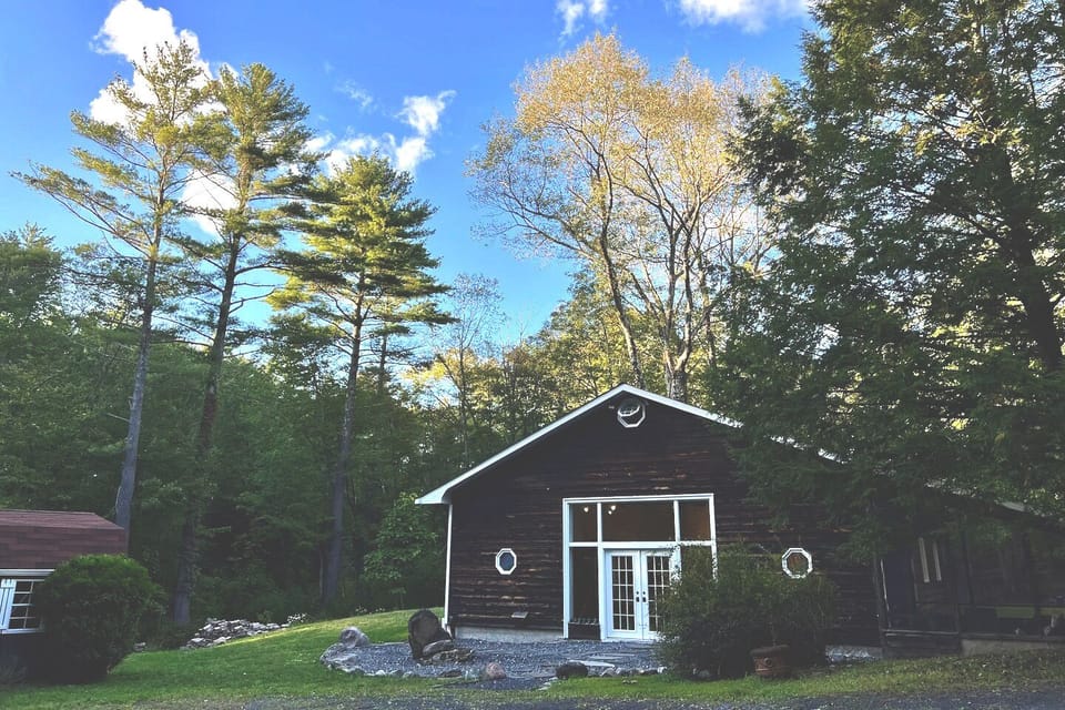 A view to the backyard