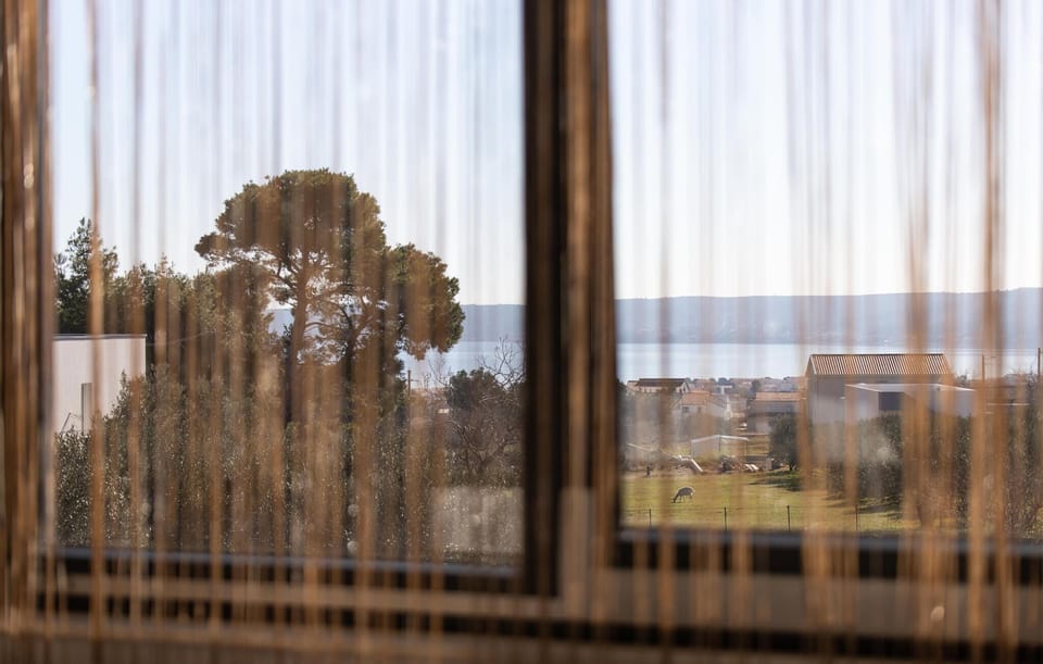 view-from-room