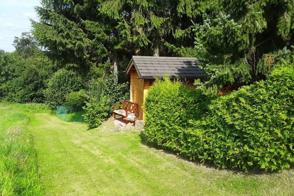 Garden [summer]