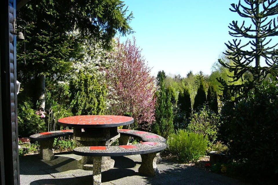 Garden [summer]