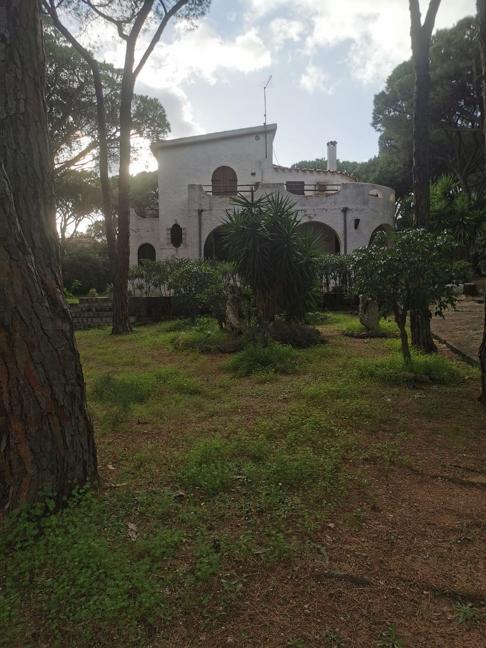 Property grounds