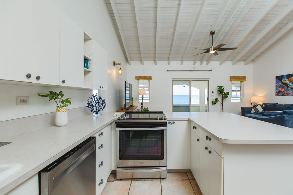 Amazing Ocean View From the Kitchen