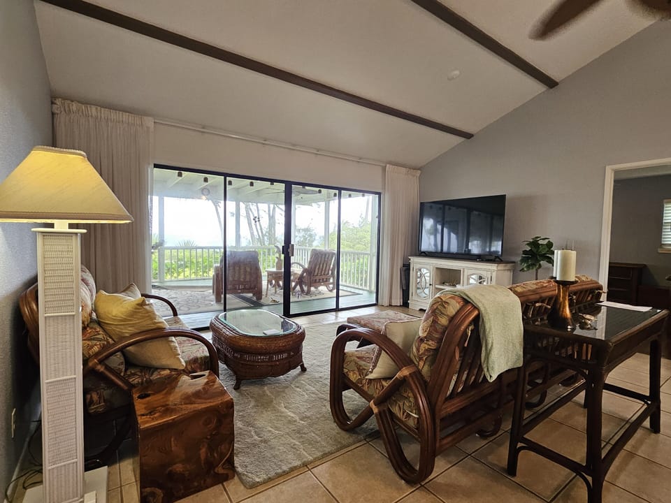 Large living room