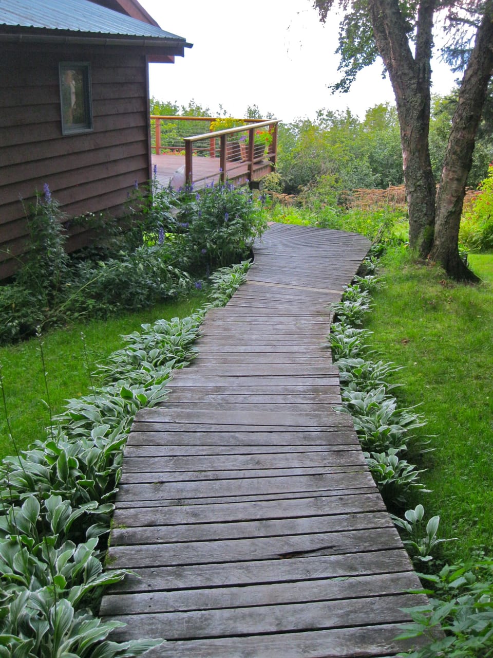 WALK WAY DOWN FROM PARKING 
TO THE HOUSE
