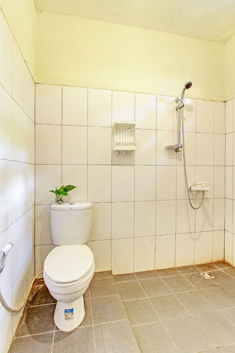 Shower, soap