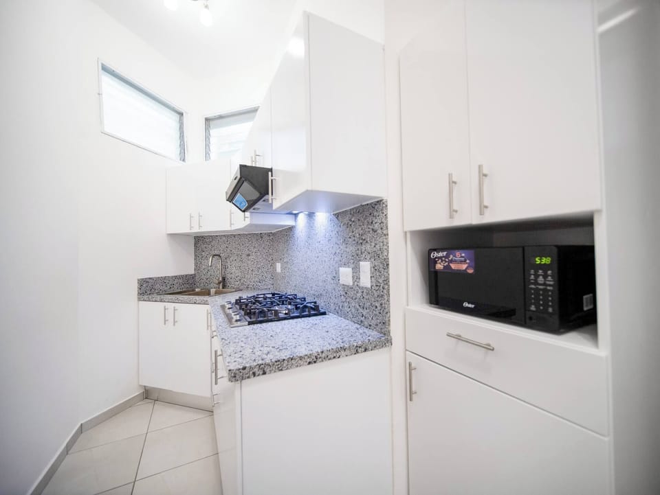 Apartment, 1 Bedroom, City View | Private kitchen