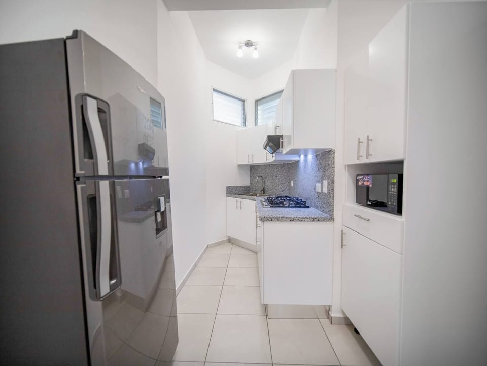 Apartment, 1 Bedroom, City View | Private kitchen