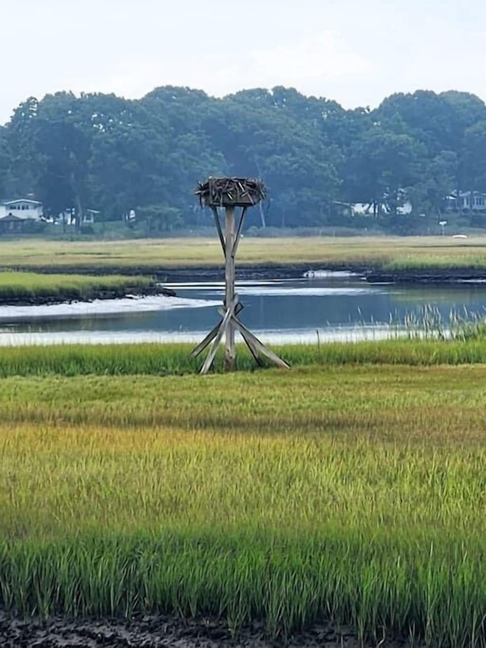 view of the marsh across the road