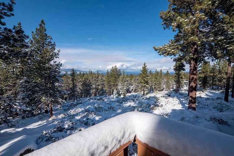 Winter Paradise