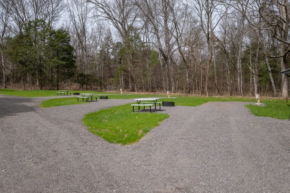 Back-in site #7