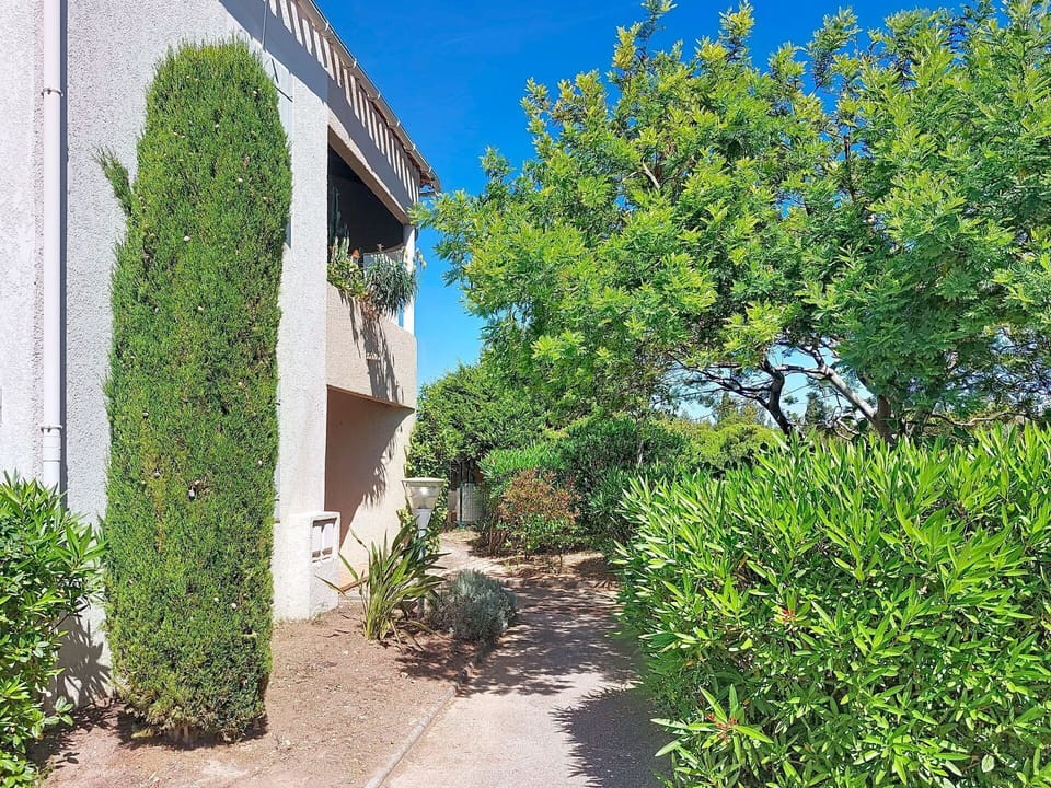 Green, Leaf, Shrub, Garden, Spring, Hedge, Shade, Landscaping, Evergreen