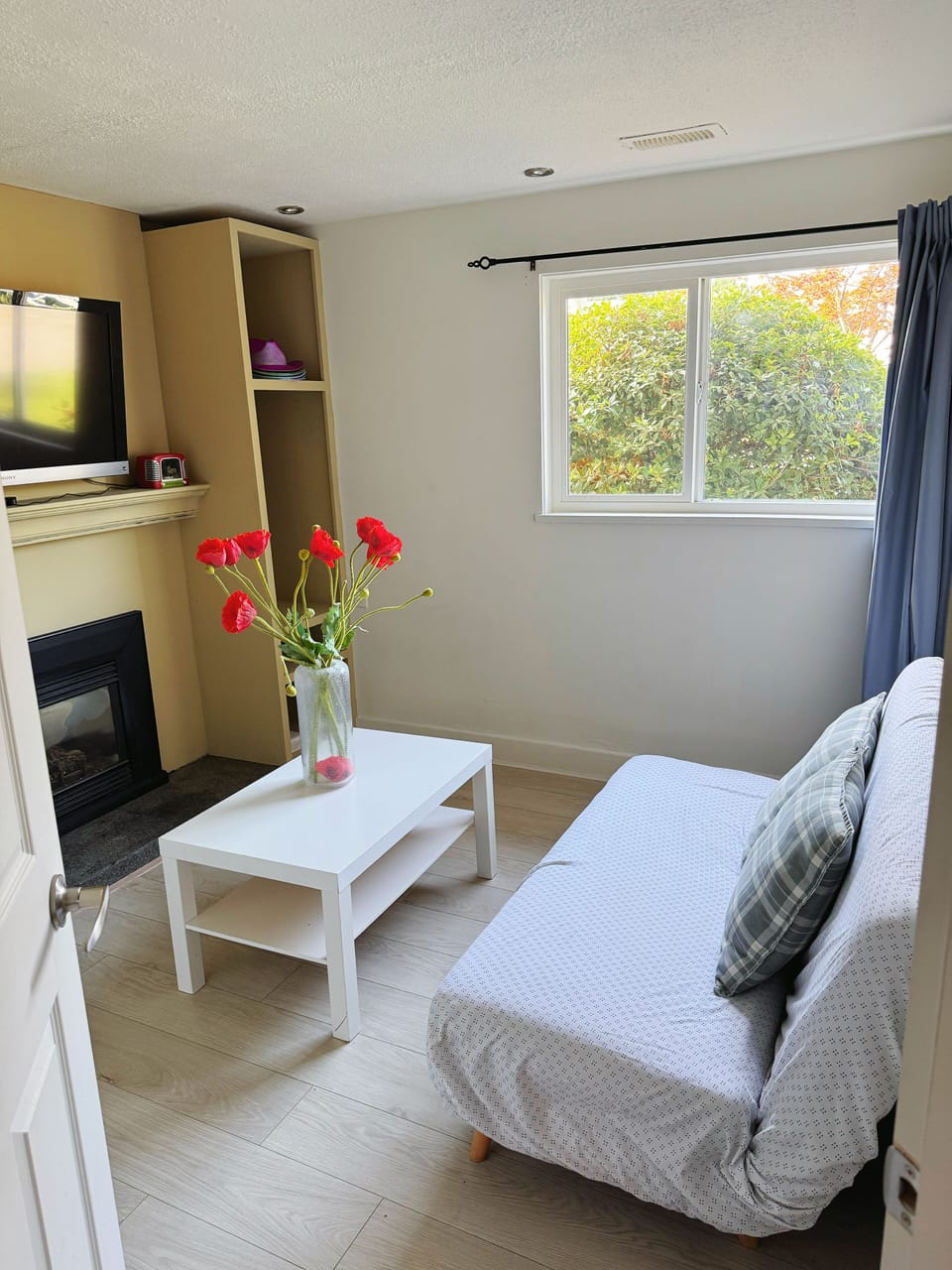 living room with sofa bed
