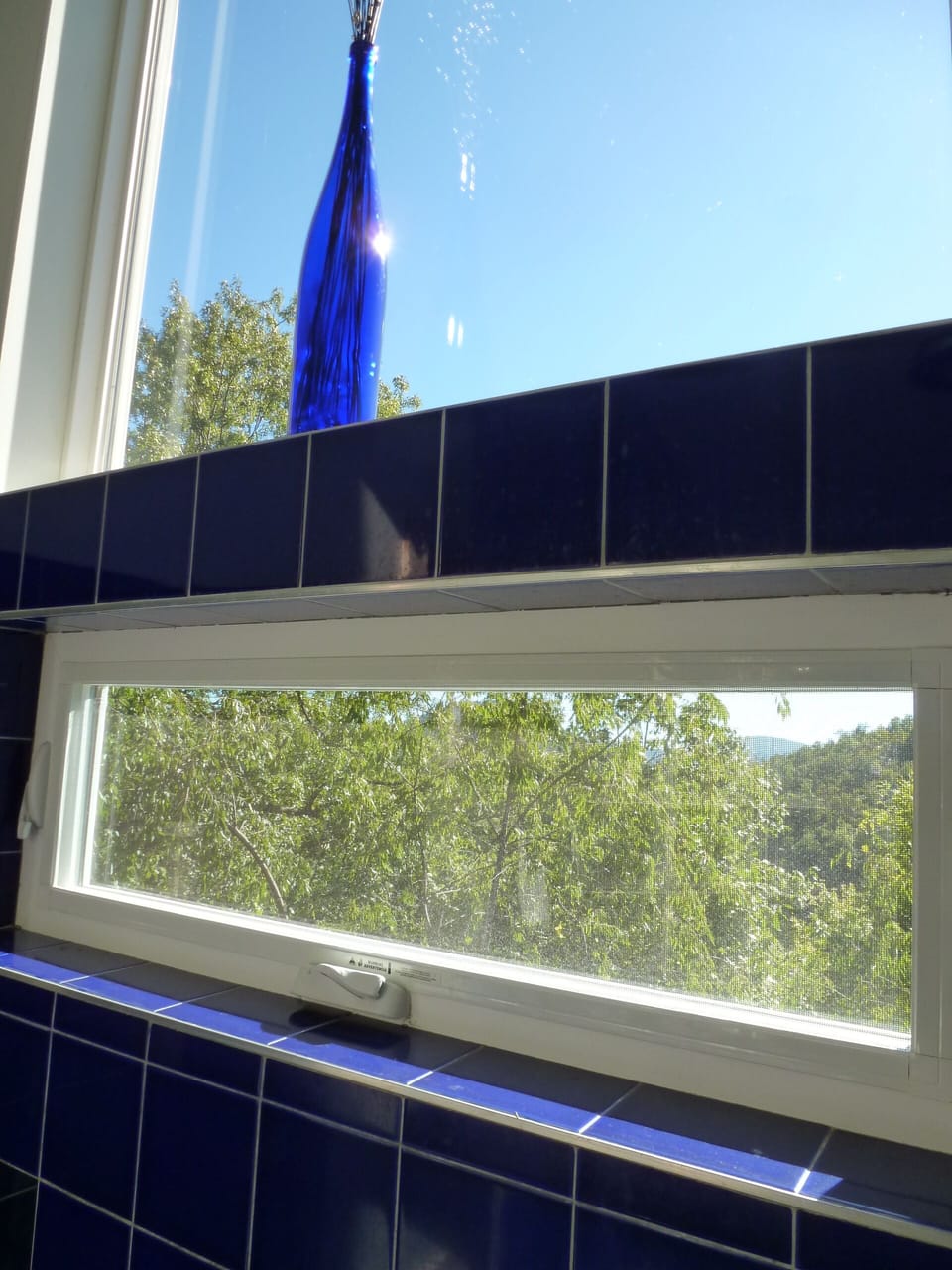 Shower stall with a view