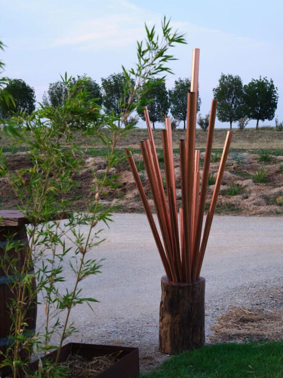 Shawwood Sculptures