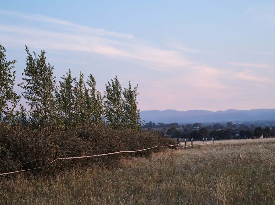 Shawwood Bottling Room View to Forrest