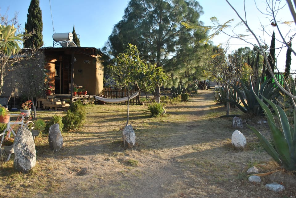 Traditional Double Room | Garden view